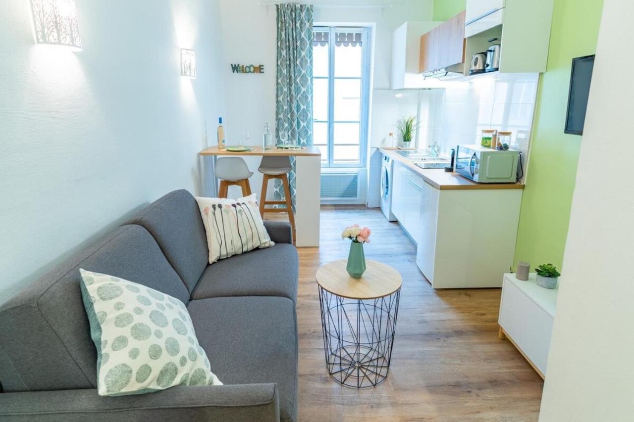 Charming Renovated Studio - 빌뢰르반 외부 사진